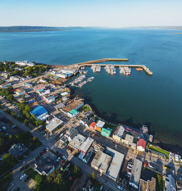 istock Scallop Fishing Town 1663867911