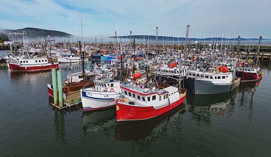 Scallop fishing boats docked at the Digby wharf, scallop fishing capital of the world.