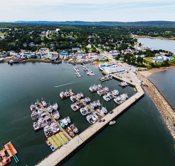 istock Scallop Fishing Town 1663876667