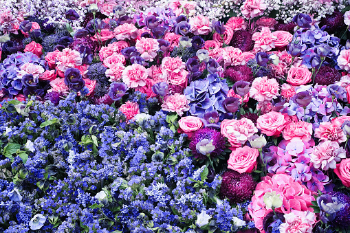istock Beautiful flowers background. Pink roses and hydrangeas. View from above, greeting card 1663889869