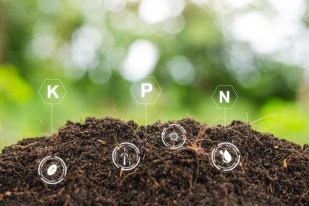 istock Testing fertile soil outdoors in close-up and with needed for planting. future agriculture Smart farming using modern agricultural technology to check soil quality control before planting seeds. 1663912986