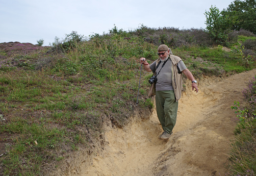 Stout man of 70 with a cane hikes on a sand path. The path goes downhill and is washed out by the rain. Around him the heather is in bloom