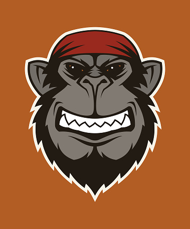 Stylized head of angry gorilla monkey ape in bandana showing teeth - vector character mascot