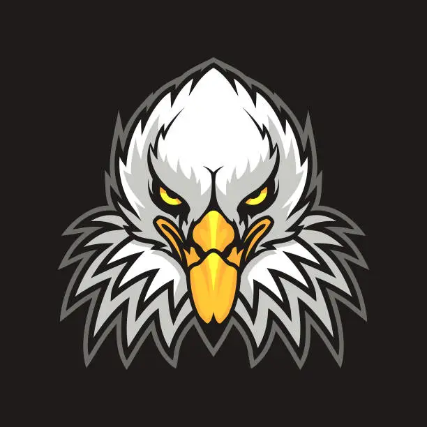 Vector illustration of Eagle head with feathers