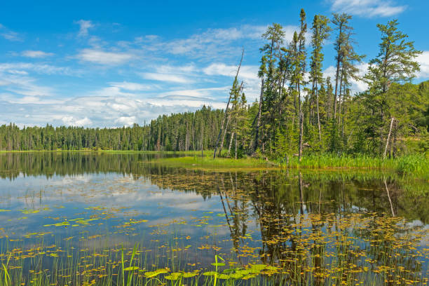 istock Sunny Reflections on a Wilderness Lake 1663969069