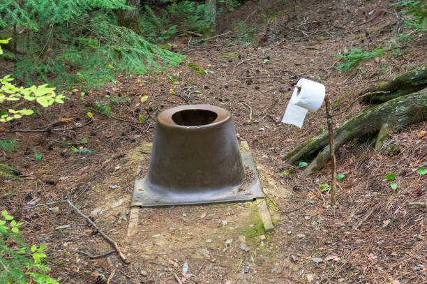 Wilderness Privy in the North Woods in the Boucnary Waters Canoe Area in Minnesota