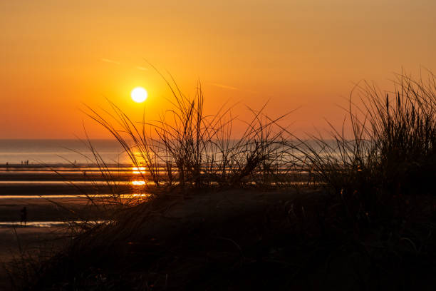 istock Sunset at Formby Beach on the Merseyside coast, with silhouetted marram grass in the foreground 1664004912
