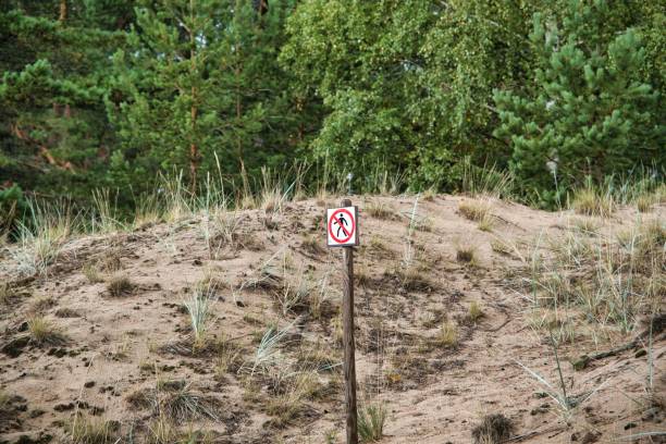 istock dune area Lake Peipus. Warning sign no going 1664021572