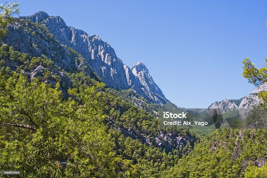 mountain forest Pine forest on the slopes of the Taurus Mountains. Turkey Blue Stock Photo