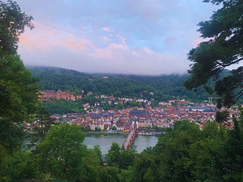 Heidelberg Landscape with view to Castle Ruin and Old Bridge
