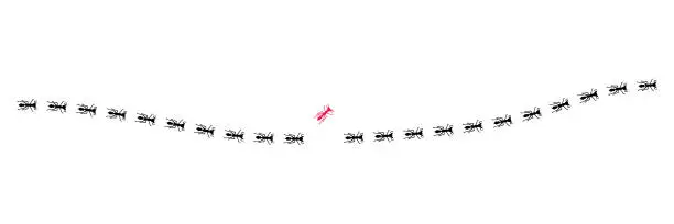 Vector illustration of Ants trail illustration silhouettes with one ant who walk by itself in different direction. Think different concept.