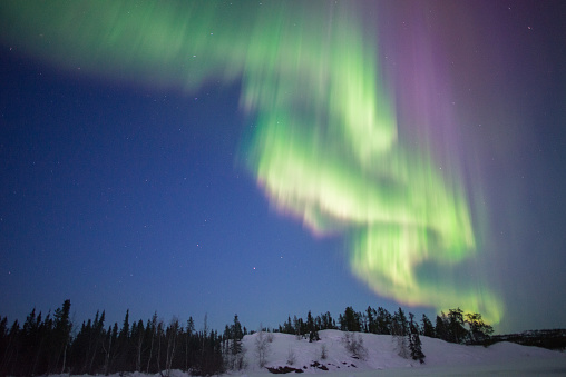 Mostly bright green curtains of northern lights with a pink fringe at the bottom, with some pastel purple and pink above. Northwest Territories, Canada. There is a similar vertical picture.
On March 23, 2023, earth was impacted by a severe G4 geomagnetic storm on a 5-grade scale, and reach an intensity of Kp 8 (on a scale of 9). Dazzling displays of colourful and fast moving northern lights were observed. Green, red and rarer dark red, purple and blue colours were seen. 
The disturbance to earth's magnetic field was caused by solar material from coronal mass ejections (CME) — large expulsions of plasma and magnetic field from the sun's atmosphere.
Year 2023 is part of Solar Cycle 25, predicted to continue until 2030, with peak sunspot activity and auroras expected in 2025.