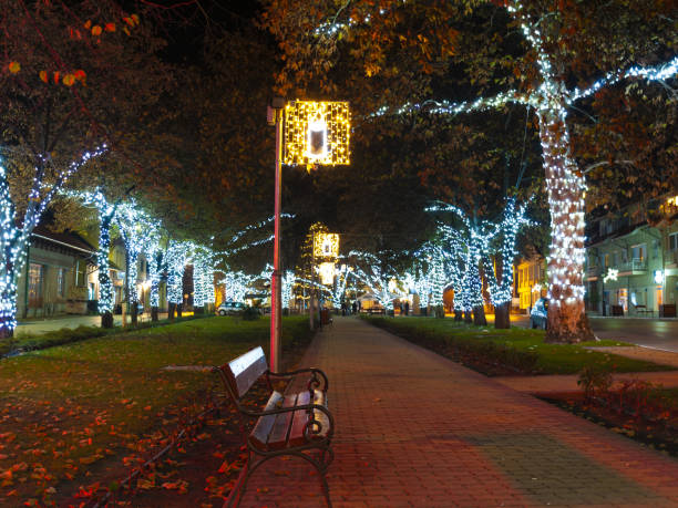 istock Christmas decoration on the street 1664042777