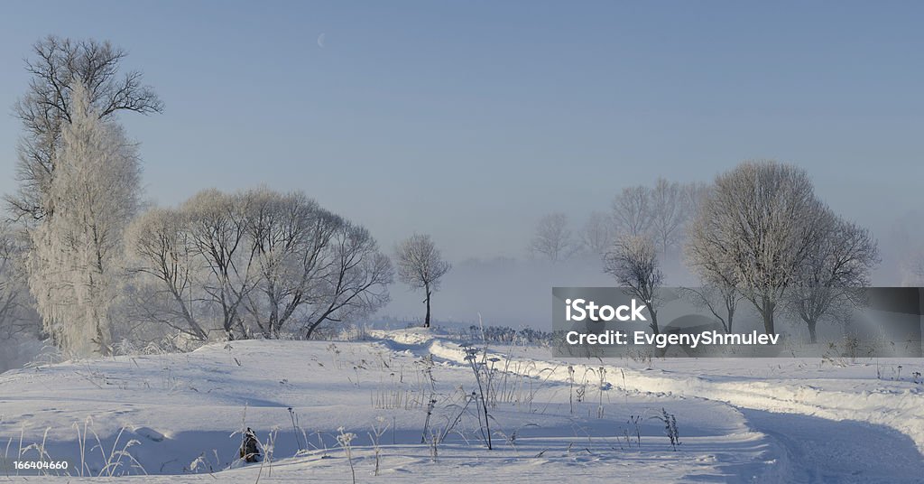 Inverno árvores no Nevoeiro - Royalty-free Ao Ar Livre Foto de stock