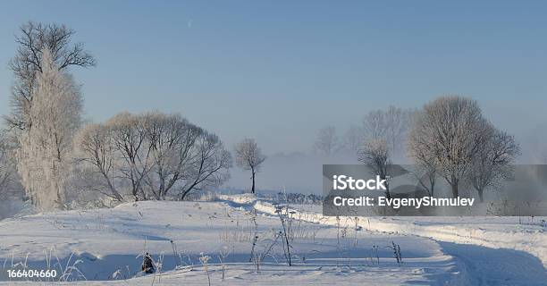 Inverno Árvores No Nevoeiro - Fotografias de stock e mais imagens de Ao Ar Livre - Ao Ar Livre, Arvoredo, Azul