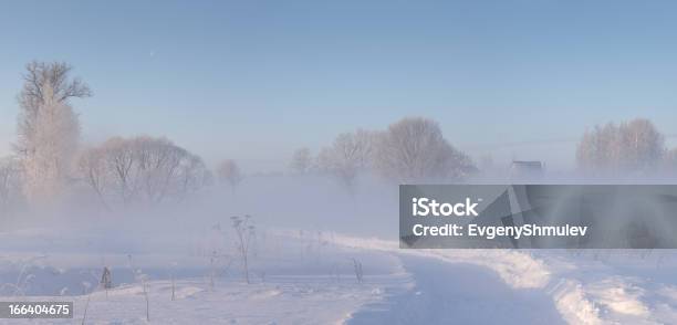 Winternatur Mit Schnee Bedeckt Und Hoar Am Morgen Stockfoto und mehr Bilder von Baum - Baum, Baumgruppe, Blau