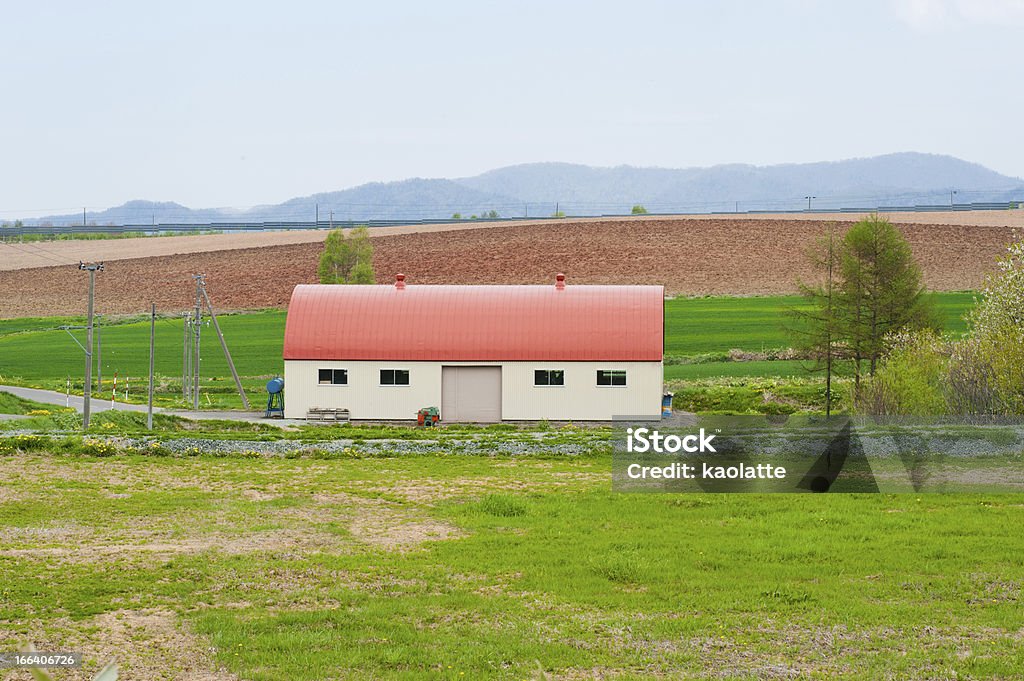 Czerwony dach barn - Zbiór zdjęć royalty-free (Bez ludzi)
