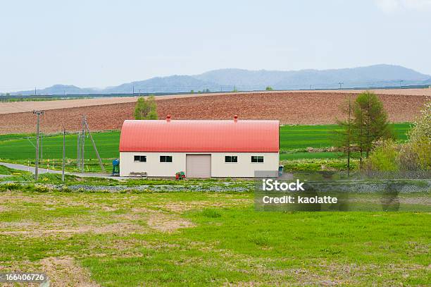 Czerwony Dach Barn - zdjęcia stockowe i więcej obrazów Bez ludzi - Bez ludzi, Fotografika, Hokkaido - Japonia