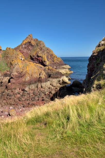 istock National Nature Reserve St. Abb's Head 1664082292