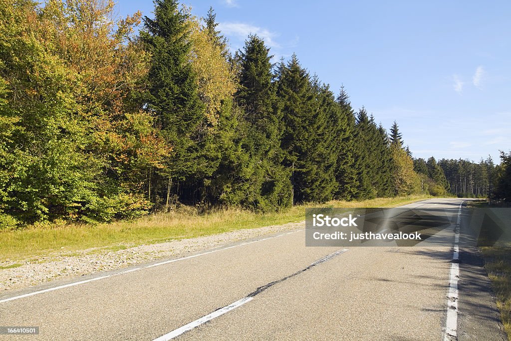 Road in Hautes Fagnes Thoroughfare road through Hautes Fagnes (Hohes Venn), national park in Eifel, border region of Belgium and Germany. Road is near Baraque Michel in Belgium. Asphalt Stock Photo