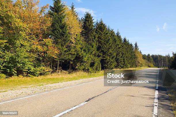 Road In Hautes Fagnes Stock Photo - Download Image Now - Asphalt, Autumn, Belgian Culture