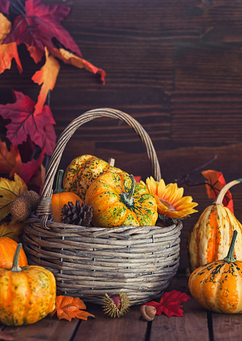 Decorated autumn thanksgiving basket with pumpkins and leaves on the wooden background