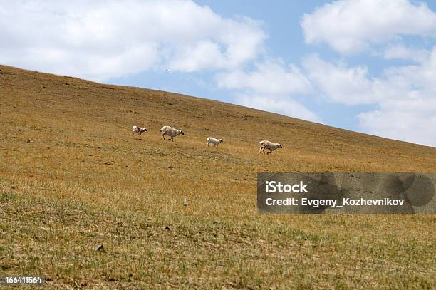 Blue Sky Over The Vast Steppes Монголии — стоковые фотографии и другие картинки Азия - Азия, Без людей, Горизонтальный