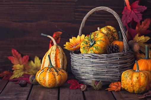 Decorated autumn thanksgiving basket with pumpkins and leaves on the wooden background