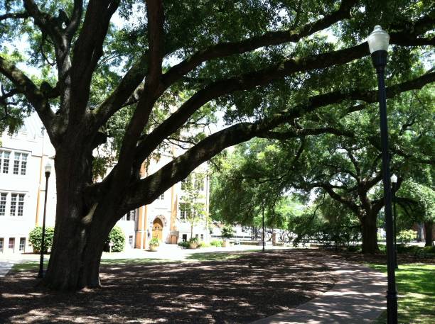 istock Columbia South Carolina Capitol 1664119039