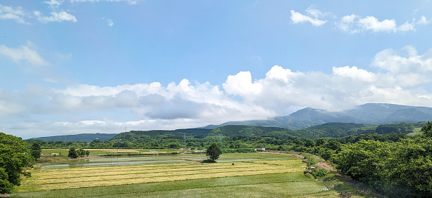 Agricultural land surrounded by lush foliage and hills in Kamiiso Disrict. Spring afternoon in the Oshima Subprefecture.