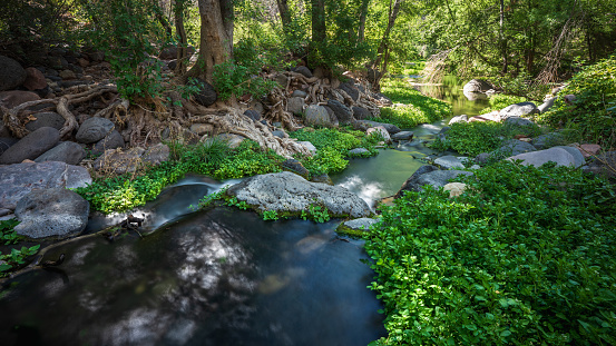Fossil Springs flows through lush wilderness in Tonto National Forest