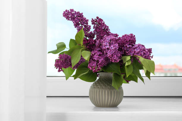istock Beautiful lilac flowers in vase on windowsill 1664158049
