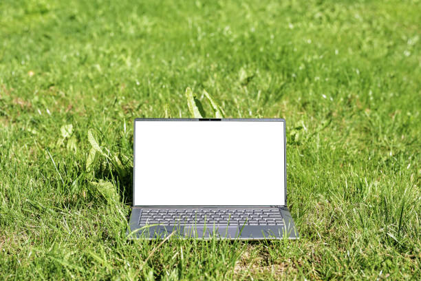 istock Laptop computer with white screen mock up in the grass on a meadow, green business concept, sustainable lifestyle and environmental protection, and resource conservation, copy space 1664163313