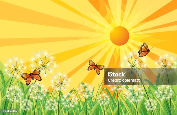 Pôr Do Sol Paisagem Com Insectos - Arte vetorial de stock e mais imagens de Ajardinado - Ajardinado, Amarelo, Borboleta