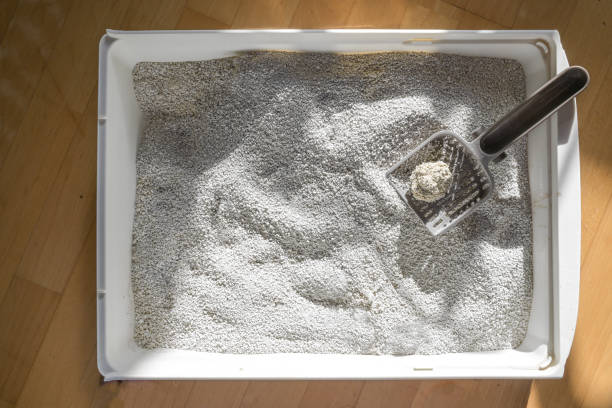 boîte de toilette pour chat, agglutination de la litière liant les liquides dans une touffe facile à enlever, hygiène dans une maison avec des animaux domestiques, espace de copie, vue à angle élevé d’en haut - litter box box clean shovel photos et images de collection