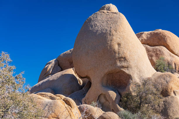 Joshua Tree National Park, California, USA. Skull Rock in Joshua Tree National Park.