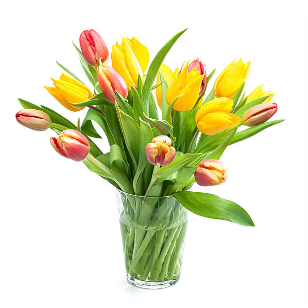 istock Bunch of Red and Yellow Tulips 166417862