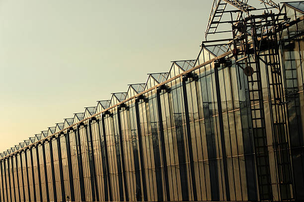 side view of an agricultural greenhouse