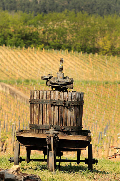 istock Old wooden wine press in front of vineyards 166418039