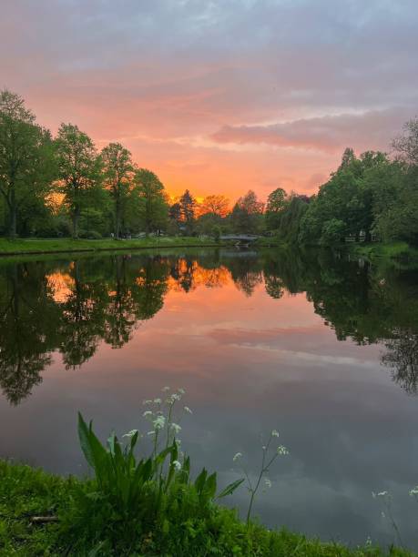 istock Picturesque view of pond at bright sunset 1664202800