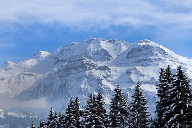 istock snow covered pine trees in the mountains 166420609