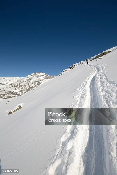 Montanhismo No Inverno - Fotografias de stock e mais imagens de Alpes Europeus - Alpes Europeus, Andar, Andar de Raquetas de Neve