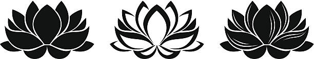 Lotus flowers silhouettes. Set of three vector illustrations. Set of three vector black silhouettes of lotus flowers isolated on a white background. lotus flower drawing stock illustrations