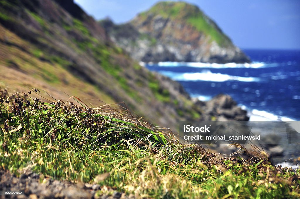 Falaises rocheuses au bord de la mer - Photo de Abrupt libre de droits