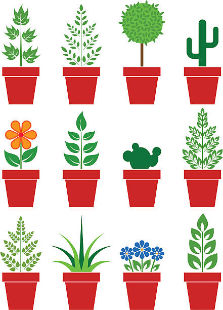 vector set of plants in pots vector art illustration