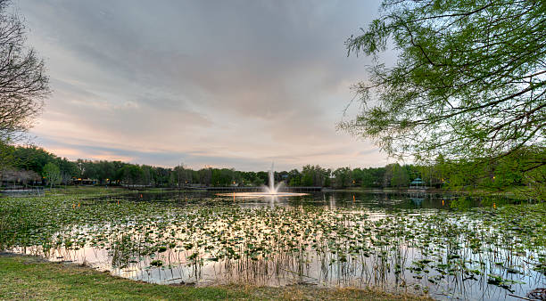 istock Sunrise at Lake Lily 166423594