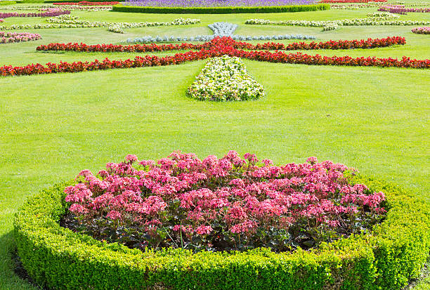 jardim de flor - salzburg arrangement azalea blooming imagens e fotografias de stock