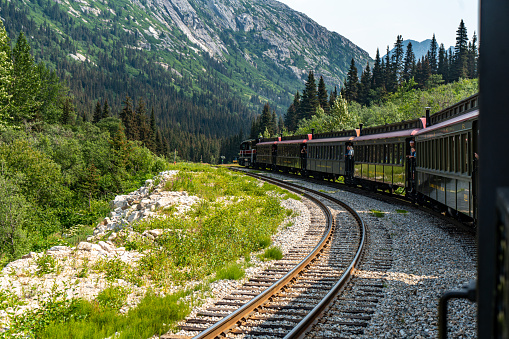 Wildflowers with a red train and Canadian Rockies in the background in Alberta, Canada