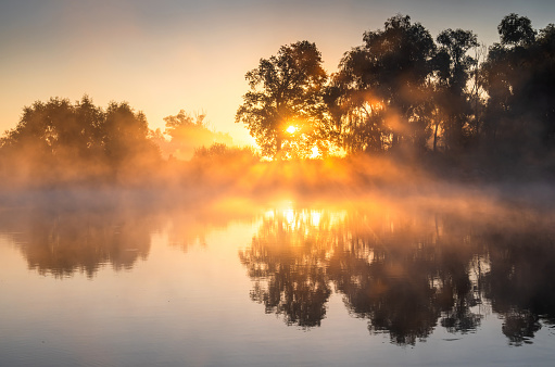 Stunning autumn sunrise over mist-covered lake, with sun's rays piercing through fog and reflecting on calm water. Fall nature.