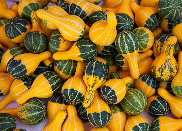 Pumpkins